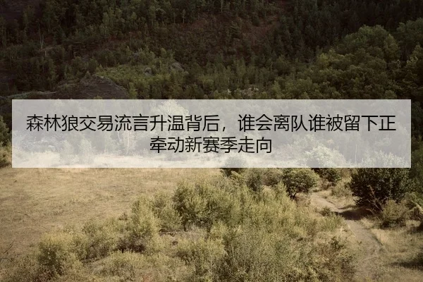 森林狼交易流言升温背后，谁会离队谁被留下正牵动新赛季走向